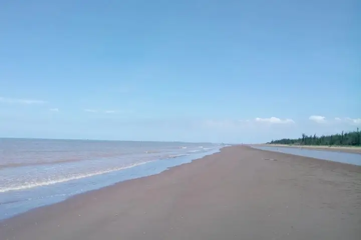 Khám Phá Bãi Biển Cồn Bửng Bến Tre - Thiên Đường Nghỉ Dưỡng Miền Tây Khám Phá Bãi Biển Cồn Bửng Bến Tre - Thiên Đường Nghỉ Dưỡng Miền Tây