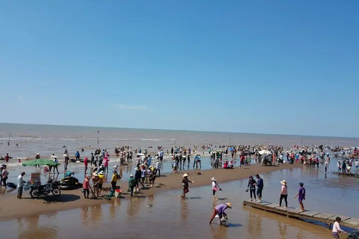 Khám Phá Bãi Biển Cồn Bửng Bến Tre - Thiên Đường Nghỉ Dưỡng Miền Tây Khám Phá Bãi Biển Cồn Bửng Bến Tre - Thiên Đường Nghỉ Dưỡng Miền Tây