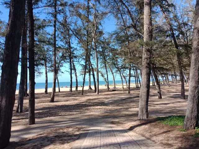 Bãi Biển Đồi Dương Phan Thiết: Hướng Dẫn Du Lịch Chi Tiết Và Những Điều Cần Biết