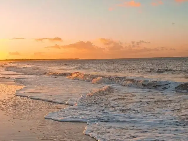 Bãi Biển Đồi Dương Phan Thiết: Hướng Dẫn Du Lịch Chi Tiết Và Những Điều Cần Biết
