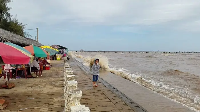Bãi Biển Tân Thành Gò Công – Hướng Dẫn Chi Tiết Khám Phá Và Trải Nghiệm