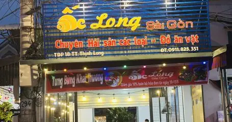 Cẩm Nang Khám Phá Bãi Biển Thịnh Long Nam Định Toàn Diện Cẩm Nang Khám Phá Bãi Biển Thịnh Long Nam Định Toàn Diện