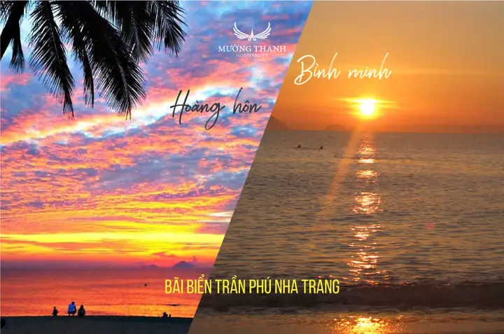 Khám Phá Bãi Biển Trần Phú Nha Trang: Hướng Dẫn Du Lịch Chi Tiết Khám Phá Bãi Biển Trần Phú Nha Trang: Hướng Dẫn Du Lịch Chi Tiết