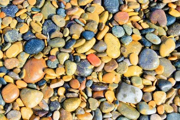 Bãi Đá Bảy Màu Phan Thiết: Hành Trình Khám Phá