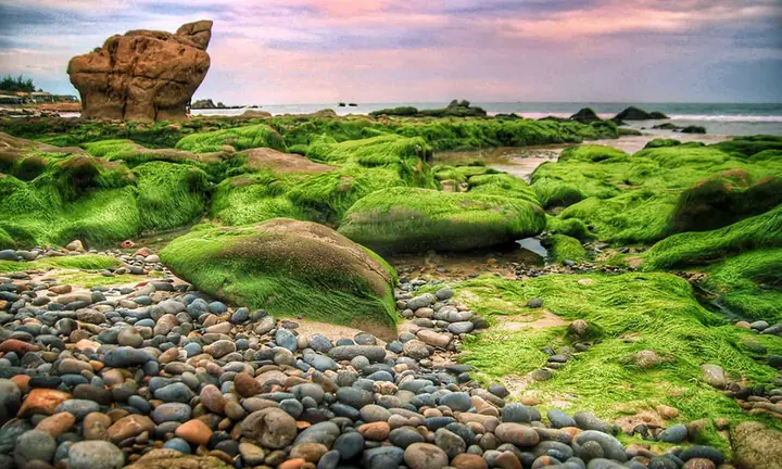 Bãi Đá Bảy Màu Phan Thiết: Hành Trình Khám Phá