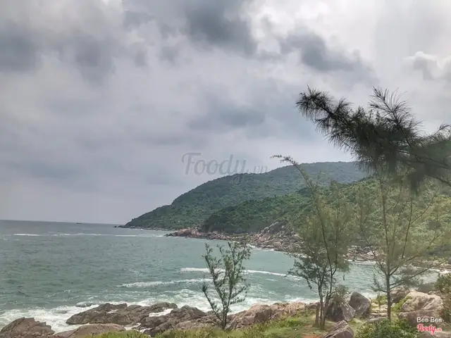 Bãi Đá Sơn Trà Đà Nẵng: Cẩm Nang Khám Phá Điểm Đến Hoang Sơ