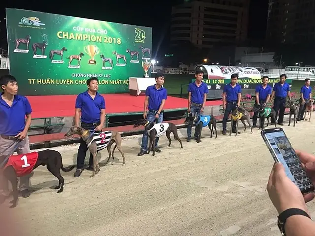 Bãi Sau Vũng Tàu: Cẩm Nang Địa Chỉ, Bản Đồ Và Trải Nghiệm Toàn Diện