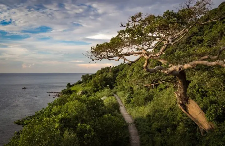 Khám Phá Bãi Sỏi Beach – Hướng Dẫn Đặt Resort View Biển