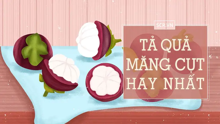Cẩm Nang Thưởng Thức Măng Cụt: Đặc Sản Đồng Bằng Sông Cửu Long Ngọt Thanh, Mát Rượi