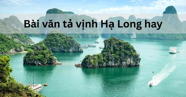 Hướng Dẫn Viết Bài Tả Vịnh Hạ Long Cho Học Sinh Lớp 5