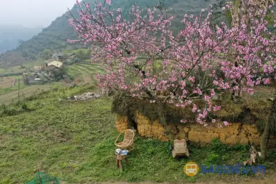 Bản Đồ Du Lịch Hà Giang Toàn Tập: Cẩm Nang Khám Phá Vùng Đất Biên Cương Hùng Vĩ