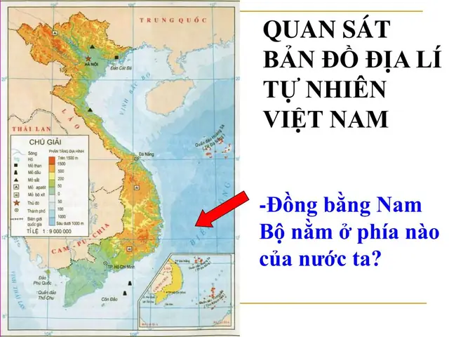 Bản Đồ Việt Nam 63 Tỉnh Thành: Phân Vùng Kinh Tế