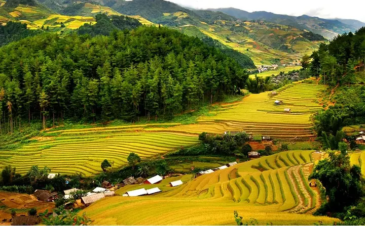Bản Lác Mai Châu Hòa Bình: Điểm Đến Đáng Thăm Nhất Vùng Tây Bắc