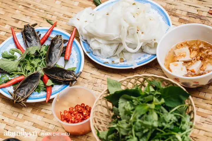 Top 5 Quán Bánh Cuốn Cà Cuống Thanh Trì Ngon Nhất Top 5 Quán Bánh Cuốn Cà Cuống Thanh Trì Ngon Nhất