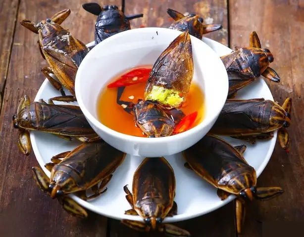 Top 5 Quán Bánh Cuốn Cà Cuống Thanh Trì Ngon Nhất Top 5 Quán Bánh Cuốn Cà Cuống Thanh Trì Ngon Nhất