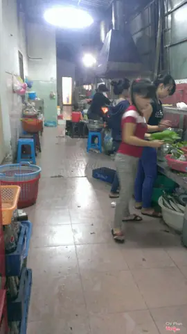 Bánh Xèo Miền Trung Vũng Tàu: Cẩm Nang Thưởng Thức Toàn Diện Bánh Xèo Miền Trung Vũng Tàu: Cẩm Nang Thưởng Thức Toàn Diện