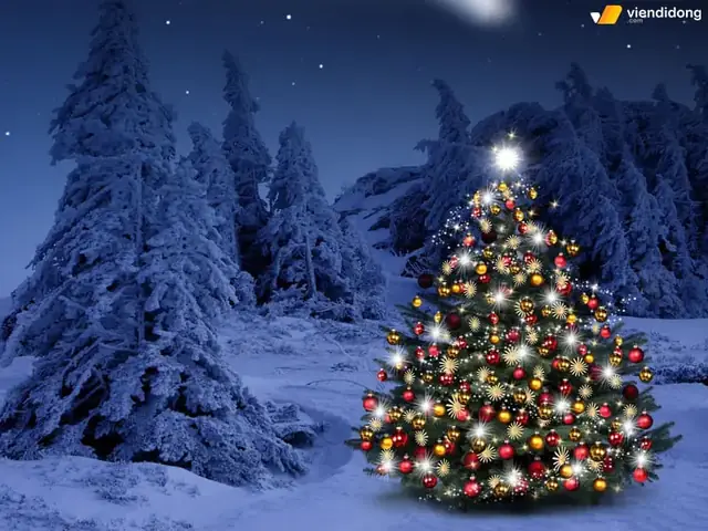Đếm Ngược: Còn Bao Nhiêu Ngày Nữa Đến Noel 2026