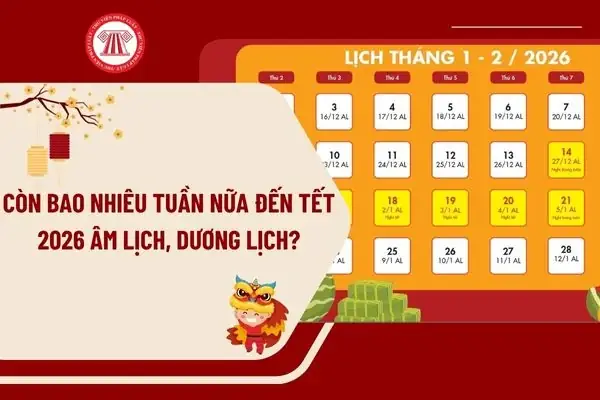 Đếm Ngược Ngày Đến Tết: Cách Tính Số Ngày Còn Lại
