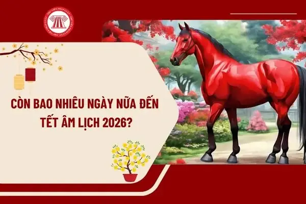 Đếm Ngược Ngày Đến Tết: Cách Tính Số Ngày Còn Lại