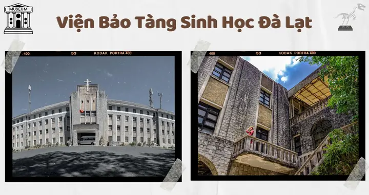 Bảo Tàng Sinh Học Đà Lạt: Khám Phá Kiến Trúc & Mẫu Vật