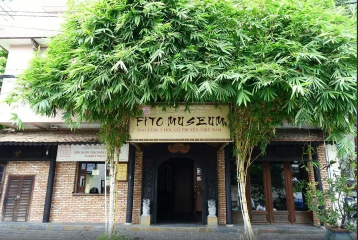 Bảo Tàng Y Học Cổ Truyền Việt Nam: Hành Trình Khám Phá Di Sản Y Học Dân Tộc Bảo Tàng Y Học Cổ Truyền Việt Nam: Hành Trình Khám Phá Di Sản Y Học Dân Tộc