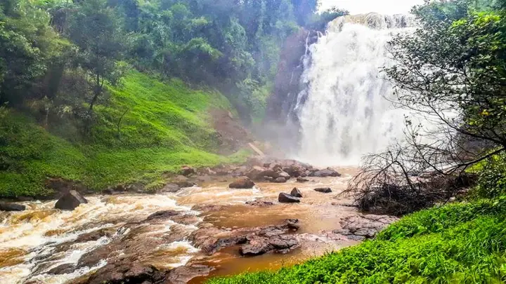 Khám Phá Xã Bàu Cạn: Vị Trí, Dân Số Và Điểm Du Lịch Nổi Bật Khám Phá Xã Bàu Cạn: Vị Trí, Dân Số Và Điểm Du Lịch Nổi Bật