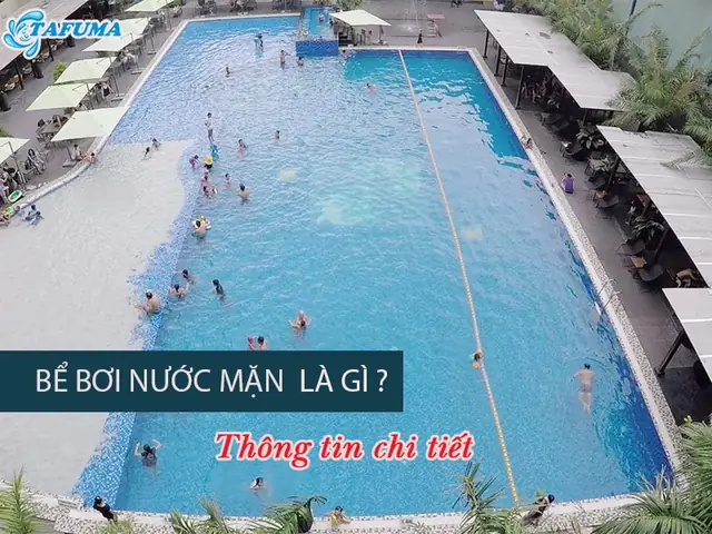 Top 5 Bể Bơi Nước Mặn Ở Hà Nội: Đánh Giá Toàn Diện Và Lời Khuyên Top 5 Bể Bơi Nước Mặn Ở Hà Nội: Đánh Giá Toàn Diện Và Lời Khuyên