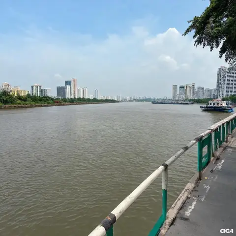 Bến Đò Nhà Bè Phước Khánh: Cách Đi, Giá Vé & Trải Nghiệm