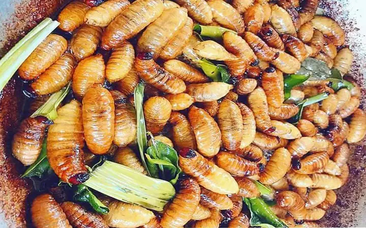 Bến Tre Có Đặc Sản Gì – Khám Phá 7 Món Ngon Không Thể Bỏ Lỡ
