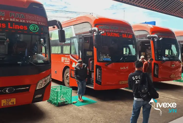 Bến Xe Phương Trang – Đúc Trọng: Hướng Dẫn Chi Tiết Địa Chỉ, Lịch Trình Và Các Dịch Vụ Hỗ Trợ Người Dùng