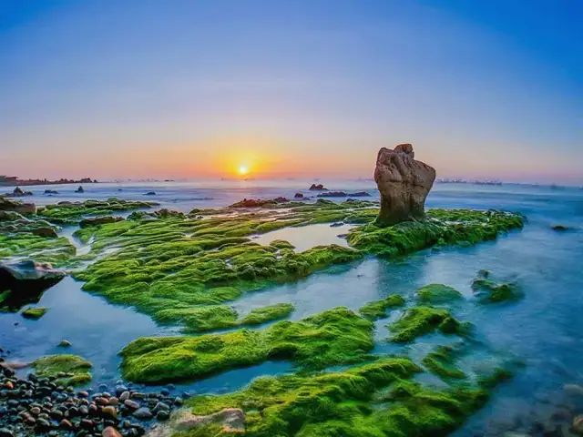 Biển Cổ Thạch Có Gì Chơi? 5 Hoạt Động Không Thể Bỏ Lỡ