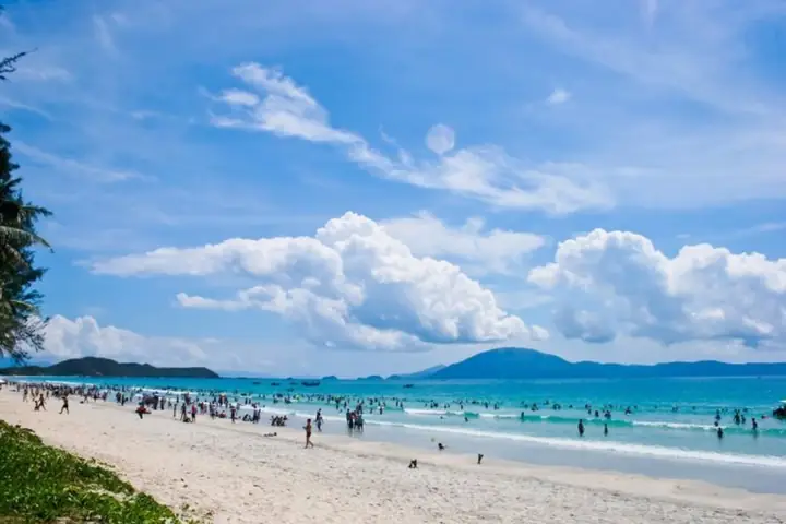 Khám Phá Biển Trà Cổ Móng Cái: Hướng Dẫn Du Lịch Chi Tiết