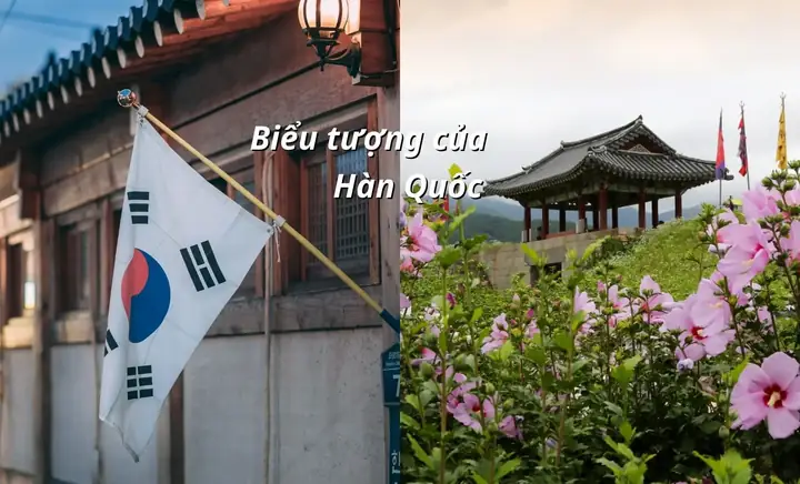 Biểu Tượng Đất Nước Hàn Quốc: 5 Yếu Tố Định Hình Văn Hóa