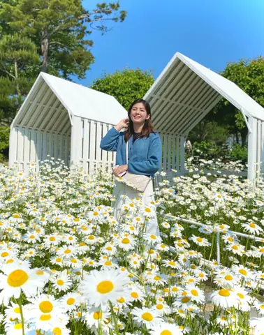 Biểu Tượng Đất Nước Hàn Quốc: 5 Yếu Tố Định Hình Văn Hóa