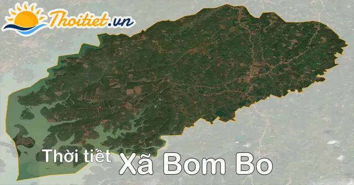 Cẩm Nang Du Lịch Xã Bom Bo, Bình Phước: Khám Phá Thiên Nhiên Tây Nguyên