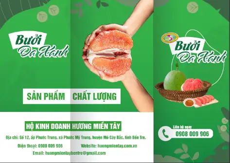 Bưởi Da Xanh Bến Tre: Đặc Sản Đất Kinh Kỳ Và Hành Trình Vươn Ra Thế Giới Bưởi Da Xanh Bến Tre: Đặc Sản Đất Kinh Kỳ Và Hành Trình Vươn Ra Thế Giới