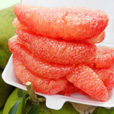 Bưởi Da Xanh Bến Tre: Đặc Sản Đất Kinh Kỳ Và Hành Trình Vươn Ra Thế Giới Bưởi Da Xanh Bến Tre: Đặc Sản Đất Kinh Kỳ Và Hành Trình Vươn Ra Thế Giới