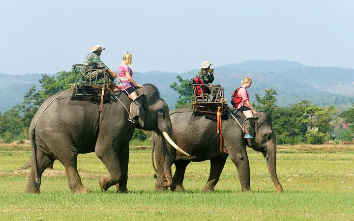 Buôn Ma Thuột Có Gì Chơi? Cẩm Nang Khám Phá Trái Tim Tây Nguyên