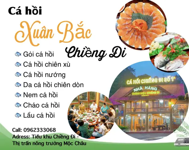 Cá Hồi Xuân Bắc Mộc Châu: Hương Vị Đặc Sắc Từ Cao Nguyên