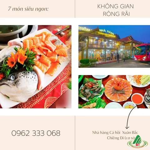 Cá Hồi Xuân Bắc Mộc Châu: Hương Vị Đặc Sắc Từ Cao Nguyên