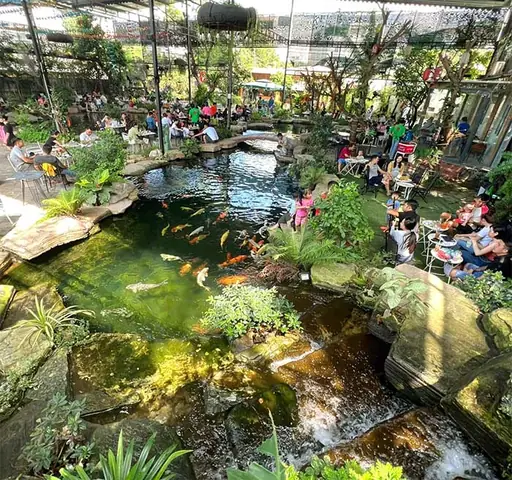 Top Quán Cafe Cá Koi Đẹp Nhất Biên Hòa [học Hỏi Ngay]