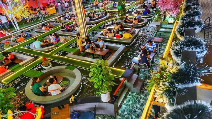 Cà Phê Cá Koi Cà Mau: Tất Cả Những Bạn Cần Biết