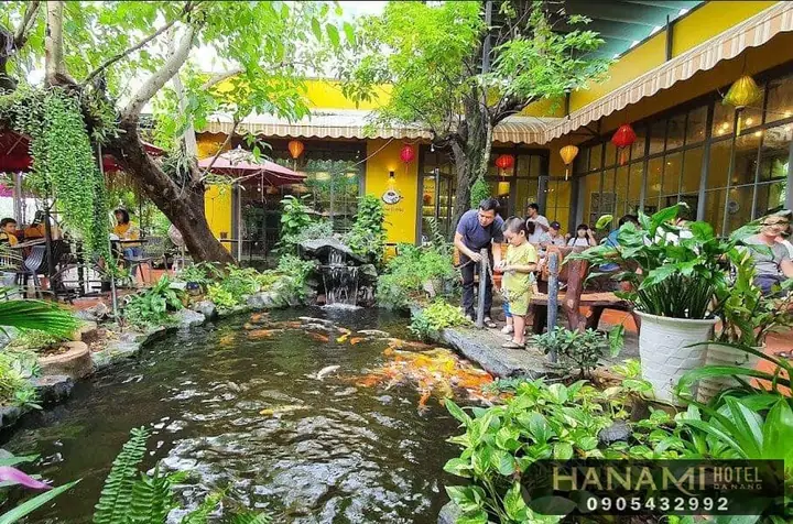 Cà Phê Cá Koi Đà Nẵng – Địa Điểm Thư Giãn Độc Đáo Cho Người Yêu Cà Phê