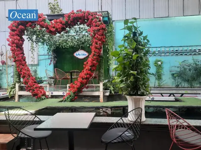 Khám Phá 10 Quán Cafe Cá Koi Hàng Đầu Tại Hóc Môn