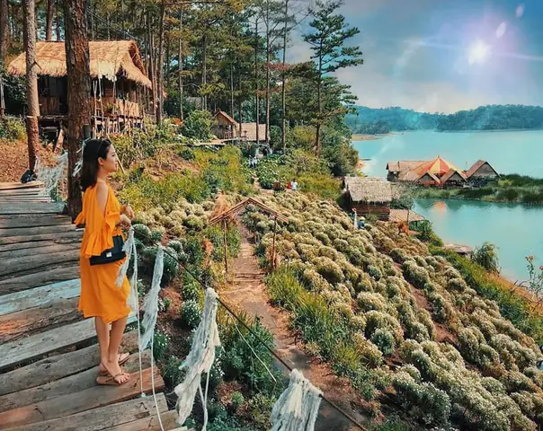 Review Cà Phê Happy Hill Đà Lạt: Không Gian & Đồ Uống Đáng Trải Nghiệm Review Cà Phê Happy Hill Đà Lạt: Không Gian & Đồ Uống Đáng Trải Nghiệm