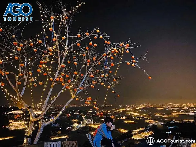 Top 8 Quán Cà Phê Trại Mát Đà Lạt Đáng Thử, Review Từ A Đến Z