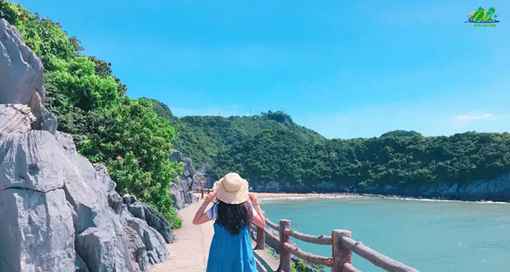 Cẩm Nang 5 Bãi Biển Đẹp Miền Bắc Nên Đi Nhất Cẩm Nang 5 Bãi Biển Đẹp Miền Bắc Nên Đi Nhất