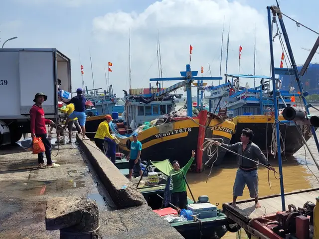 Top Cảng Cá Nổi Tiếng Ở Vũng Tàu Cho Du Khách Top Cảng Cá Nổi Tiếng Ở Vũng Tàu Cho Du Khách