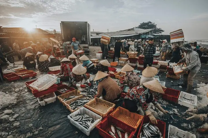 Top Cảng Cá Nổi Tiếng Ở Vũng Tàu Cho Du Khách Top Cảng Cá Nổi Tiếng Ở Vũng Tàu Cho Du Khách