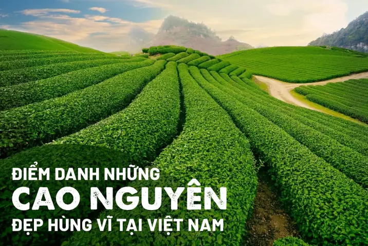 Các Cao Nguyên Ở Tây Nguyên: Danh Sách & Vị Trí Các Cao Nguyên Ở Tây Nguyên: Danh Sách & Vị Trí